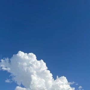 Meet your Posher, Brekyn